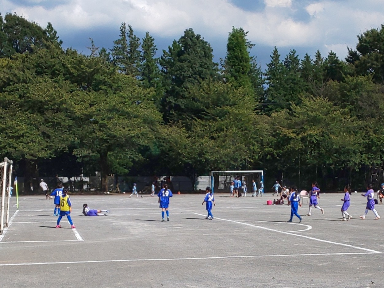 IMG_20190908_222255.jpg